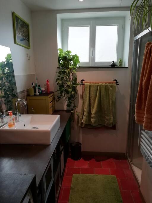 Rivarennes  Charmante Maison De Village En Val De Loire מראה חיצוני תמונה
