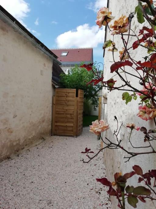 Rivarennes  Charmante Maison De Village En Val De Loire מראה חיצוני תמונה